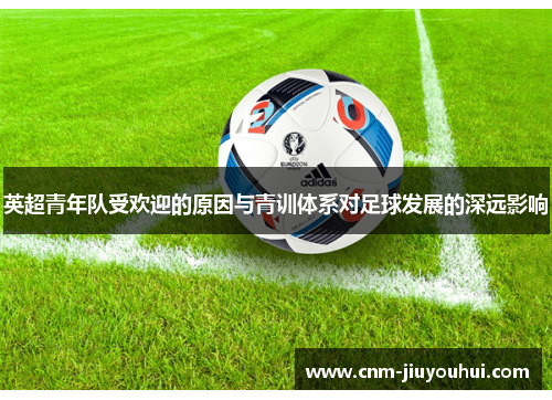 英超青年队受欢迎的原因与青训体系对足球发展的深远影响
