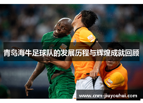 青岛海牛足球队的发展历程与辉煌成就回顾
